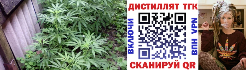 ТГК Wax  Купить где  Бирюч 