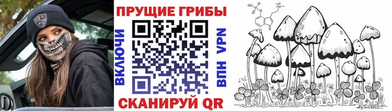 Галлюциногенные грибы GOLDEN TEACHER  Купить закладки  Бирюч 
