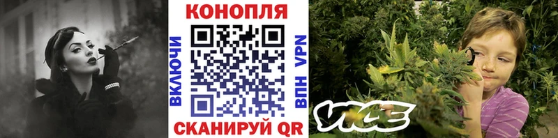 Бошки Шишки планчик  Купить  Бирюч 